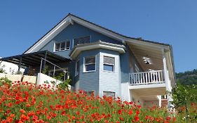 B+B Passifleur